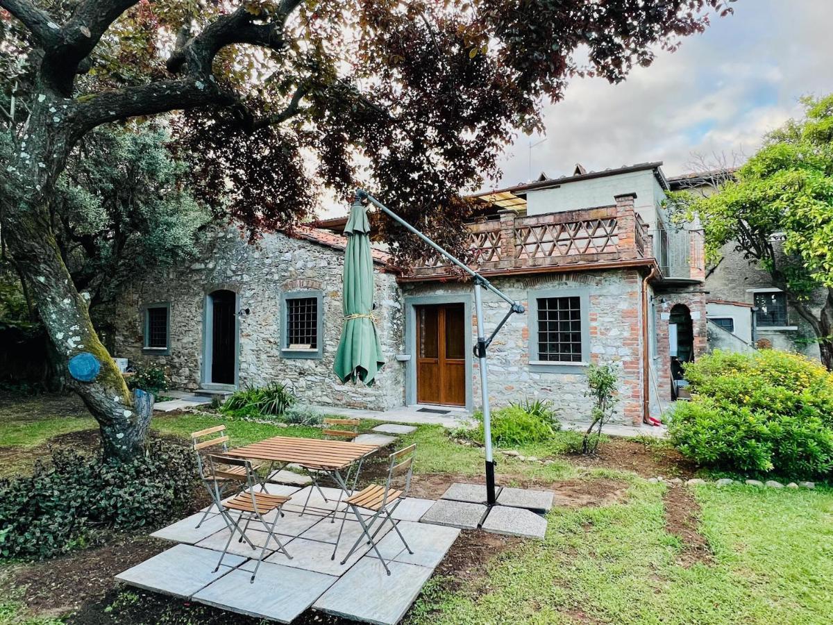 La Casina Di Susy Villa Seravezza Exteriör bild